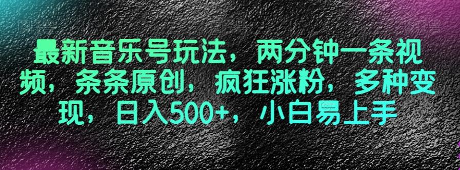 最新音乐号玩法，两分钟一条视频，条条原创，疯狂涨粉，多种变现，日入500+，小白易上手【揭秘】-天韵资源网