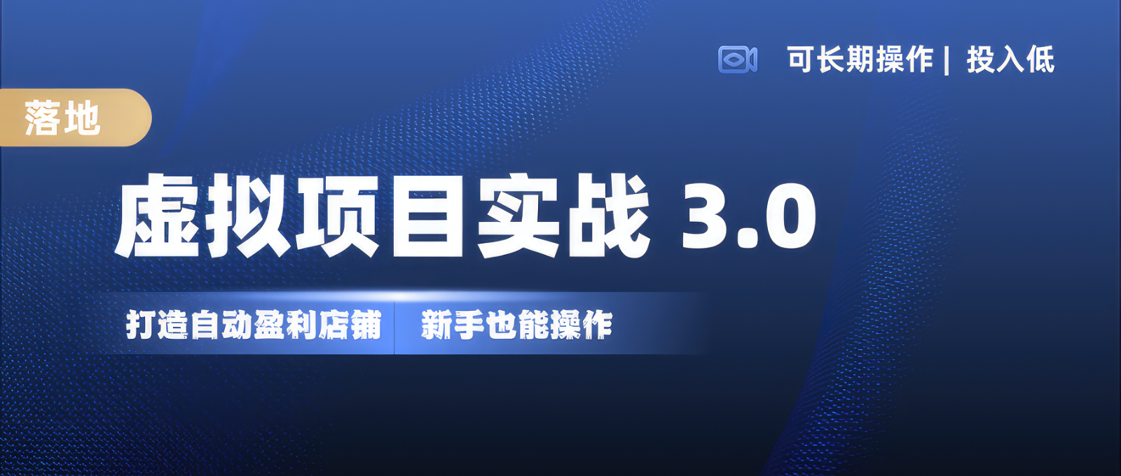 虚拟项目实操落地 3.0,新手轻松上手，单品月入1W+-天韵资源网