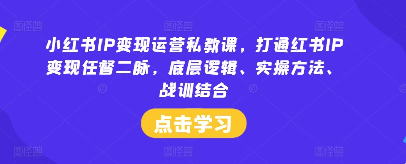 小红书IP变现运营私教课，打通红书IP变现任督二脉，底层逻辑、实操方法、战训结合-天韵资源网