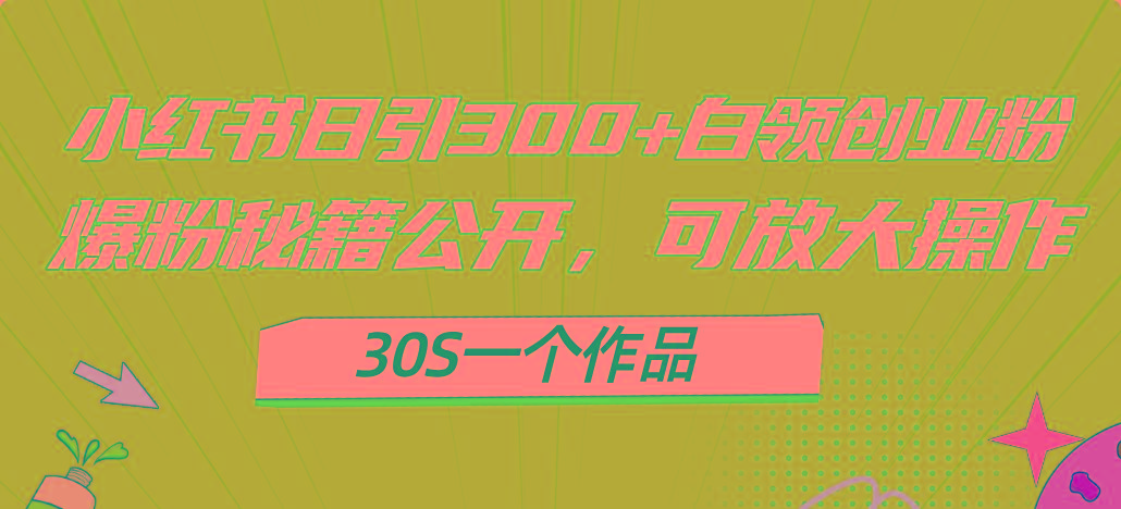 小红书日引300+高质白领创业粉，可放大操作，爆粉秘籍！30s一个作品-天韵资源网