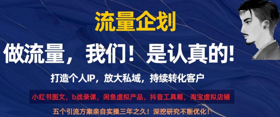 流量企划，打造个人IP，放大私域，持续转化客户【揭秘】-天韵资源网