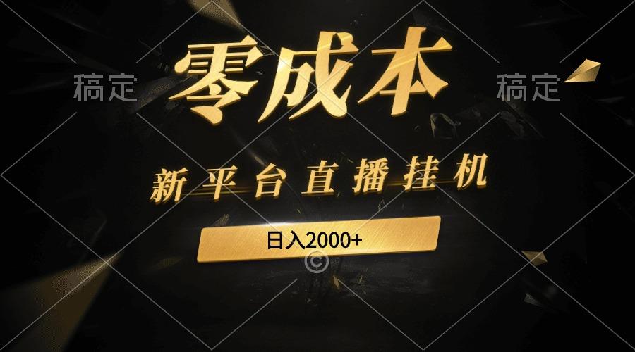 (9841期)新平台直播挂机最新玩法，0成本，不违规，日入2000+-天韵资源网