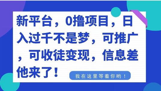 不要再花冤枉钱了，0撸项目，每天坚持，稳定1000+-天韵资源网