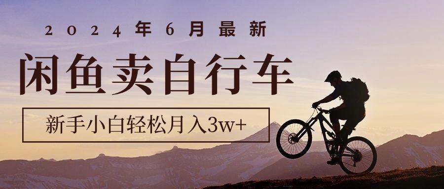 2024年6月最新闲鱼卖自行车，新手小白轻松月入3w+项目-天韵资源网