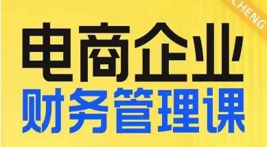 电商企业财务管理线上课，为电商企业规划财税-天韵资源网