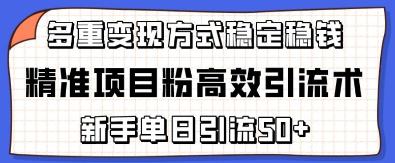 精准项目粉高效引流术，新手单日引流50+，多重变现方式稳定赚钱【揭秘】-天韵资源网