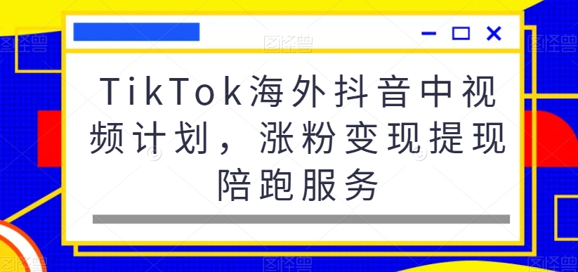 TikTok海外抖音中视频计划，涨粉变现提现陪跑服务-天韵资源网
