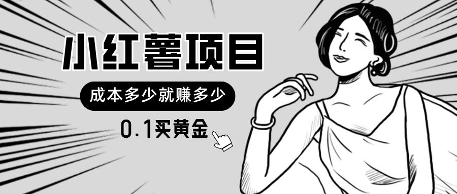小红薯暴力项目，0.1买黄金。操作简单，日入无上限，可无限扩大。-天韵资源网