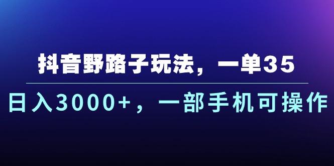 抖音野路子玩法，一单35.日入3000+，一部手机可操作-天韵资源网