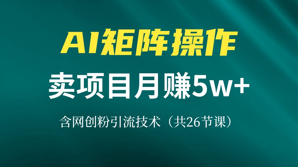 网创IP打造课，借助AI卖项目月赚5万+，含引流技术(共26节课-天韵资源网