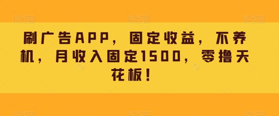 刷广告APP，固定收益，不养机，月收入固定1500，零撸天花板！-天韵资源网