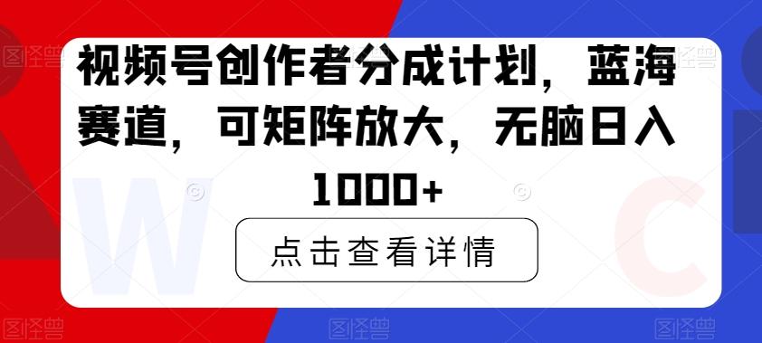视频号创作者分成计划，蓝海赛道，可矩阵放大，无脑日入1000+-天韵资源网