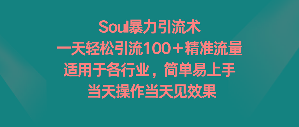 Soul暴力引流术，一天轻松引流100＋精准流量，适用于各行业，简单易上手！-天韵资源网