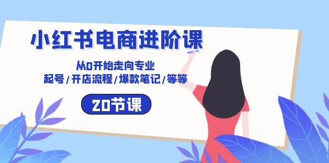 小红书电商进阶课：从0开始走向专业 起号/开店流程/爆款笔记/等等(20节-天韵资源网
