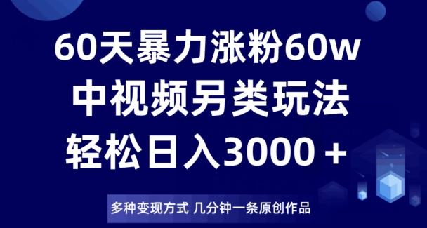 60天暴力涨粉60W，中视频另类玩法，日入3000＋，几分钟一条原创作品多种变现方式-天韵资源网