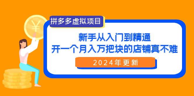 (9744期)拼多多虚拟项目：入门到精通，开一个月入万把块的店铺 真不难(24年更新)-天韵资源网