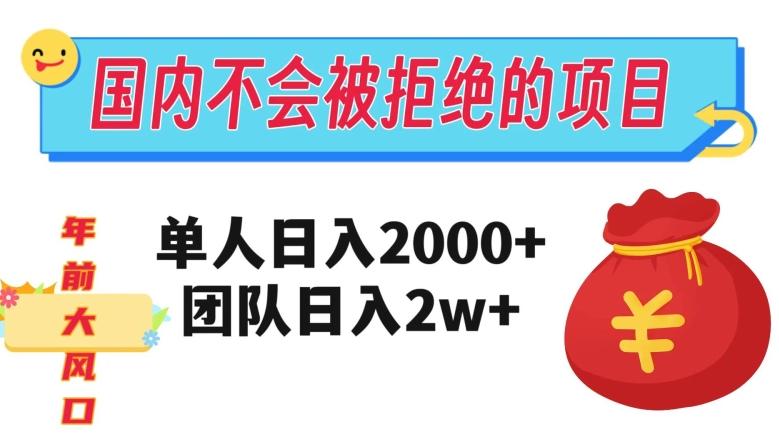 在国内不怕被拒绝的项目，单人日入2000，团队日入20000+【揭秘】-天韵资源网