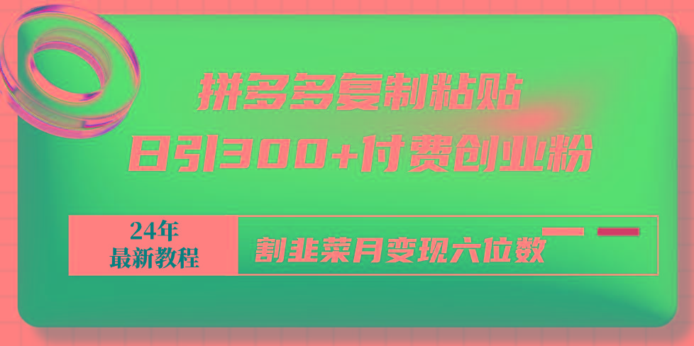 拼多多复制粘贴日引300+付费创业粉，割韭菜月变现六位数最新教程！-天韵资源网