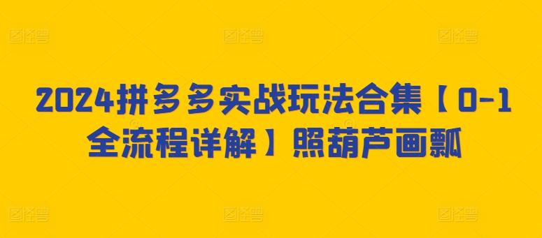 2024拼多多实战玩法合集【0-1全流程详解】照葫芦画瓢-天韵资源网