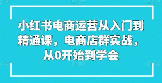 小红书电商运营从入门到精通课，电商店群实战，从0开始到学会-天韵资源网
