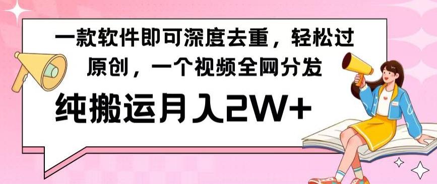 一款软件深度去重，轻松过原创，一个视频全网分发，纯搬运月入2W+-天韵资源网