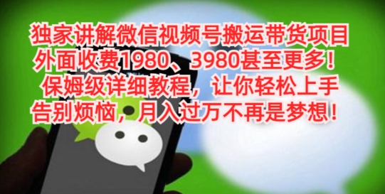 独家讲解微信视频号搬运带货项目，保姆级详细教程-天韵资源网
