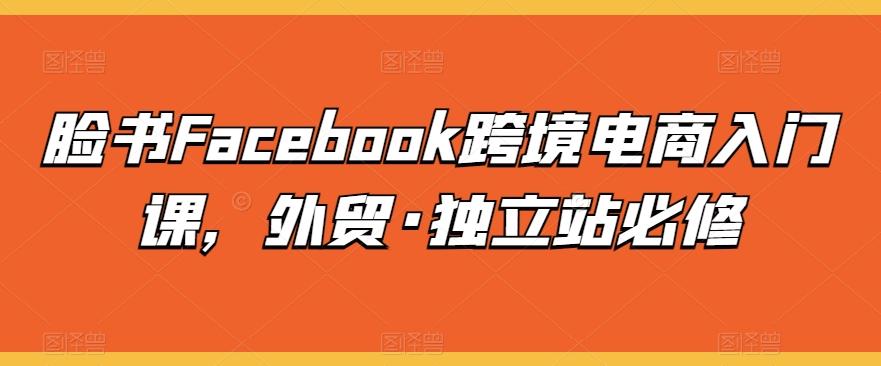 脸书Facebook跨境电商入门课，外贸·独立站必修-天韵资源网