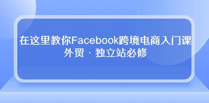 在这里教你Facebook跨境电商入门课，外贸·独立站必修-天韵资源网