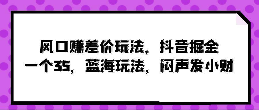 (10022期)风口赚差价玩法，抖音掘金，一个35，蓝海玩法，闷声发小财-天韵资源网