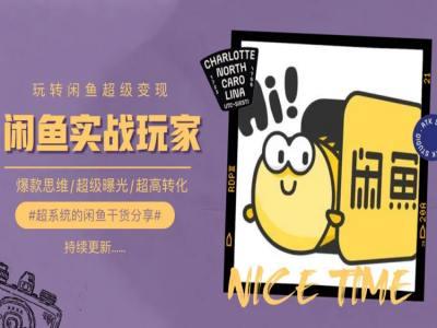 手把手教你0到1系统玩转闲鱼变现，爆款思维/超级曝光/超高转化-天韵资源网