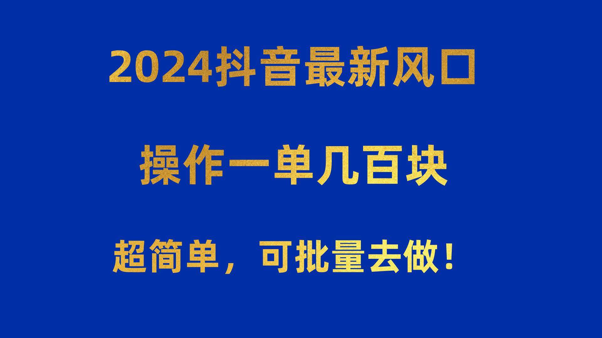 2024抖音最新风口！操作一单几百块！超简单，可批量去做！！！-天韵资源网