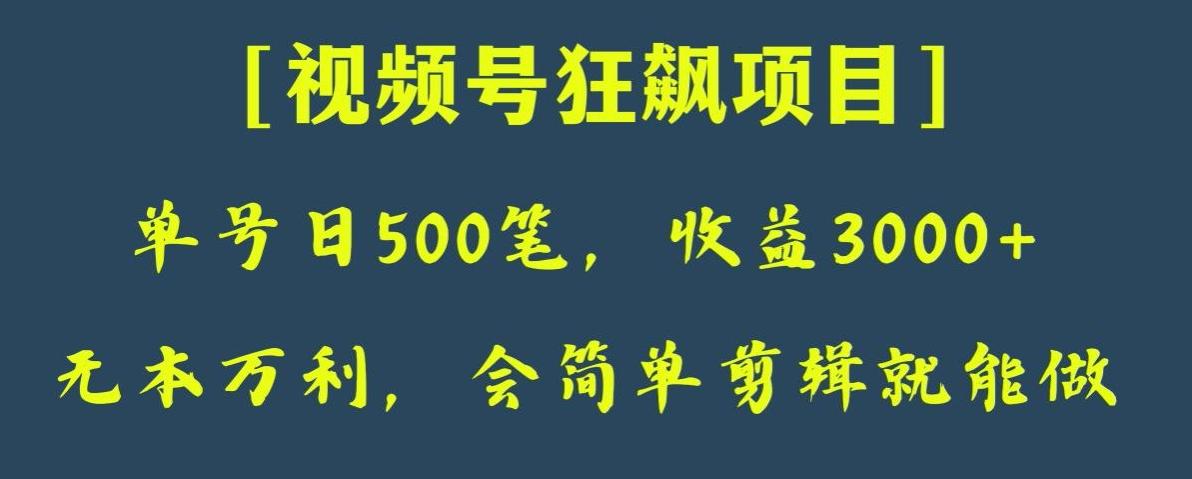 日收款500笔，纯利润3000+，视频号狂飙项目，会简单剪辑就能做【揭秘】-天韵资源网