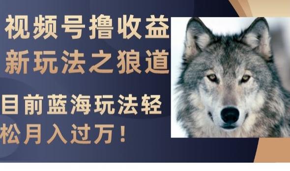 视频号撸收益新玩法之狼道，目前蓝海玩法，轻松月入过万【揭秘】-天韵资源网