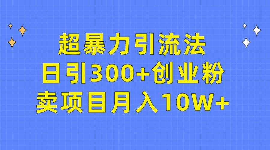 (9954期)超暴力引流法，日引300+创业粉，卖项目月入10W+-天韵资源网