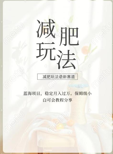 减肥流量主新玩法，轻松月入1W，可矩阵操作收入翻倍-天韵资源网