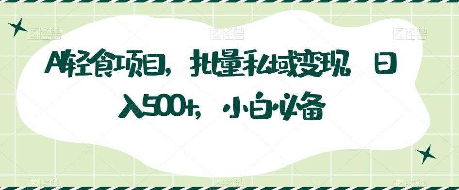 AI轻食项目，批量私域变现，日入500+，小白必备-天韵资源网