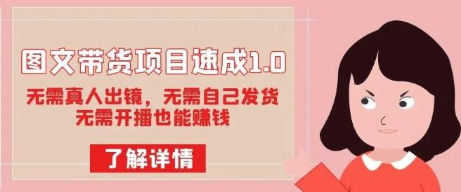 图文带货项目速成1.0：无需真人出镜，无需自己发货，无需开播也能赚钱！-天韵资源网