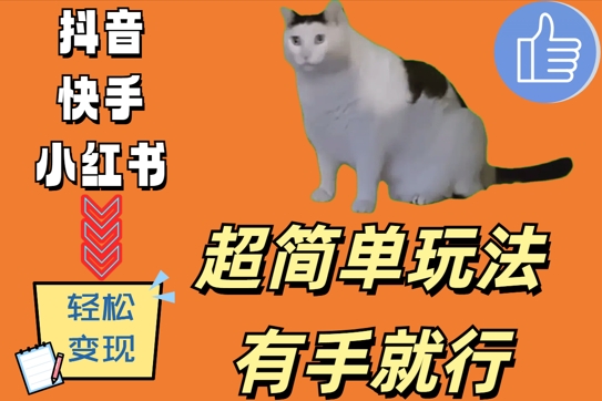 超简单玩法，有手就行，靠猫咪视频日入500+【揭秘】-天韵资源网