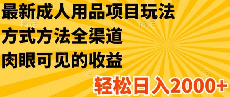 最新成人用品项目玩法，方式方法全渠道，轻松日入2K+【揭秘】-天韵资源网