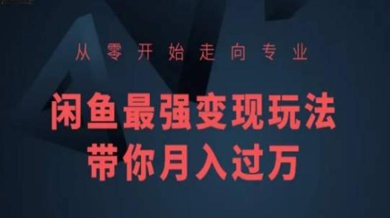 从零开始走向专业，闲鱼最强变现玩法带你月入过万-天韵资源网