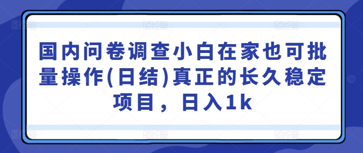 国内问卷调查小白在家也可批量操作(日结)真正的长久稳定项目，日入1k【揭秘】-天韵资源网