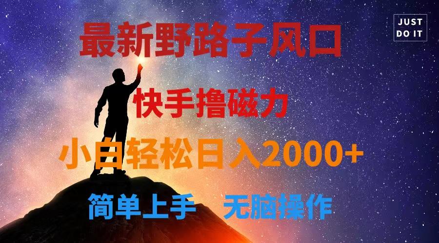 最新风口！快手撸磁力，野路子，小白无脑操作日入2000+-天韵资源网