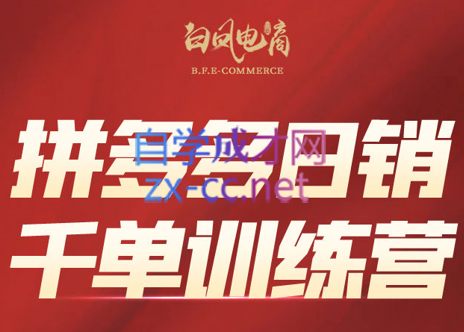 白凤电商学院·拼多多日销千单训练营(更新7月)-天韵资源网