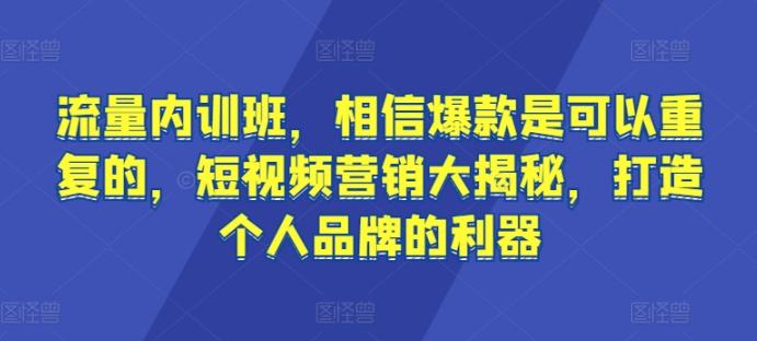 流量内训班，相信爆款是可以重复的，短视频营销大揭秘，打造个人品牌的利器-天韵资源网