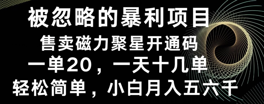 被忽略的暴利项目！售卖磁力聚星开通码，一单20，一天十几单，轻松月入五六千-天韵资源网