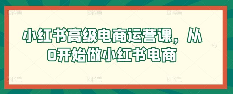 小红书高级电商运营课，从0开始做小红书电商-天韵资源网