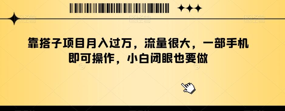 靠搭子项目月入过万，流量很大，一部手机即可操作，小白闭眼也要做-天韵资源网