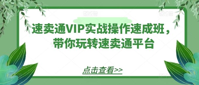 速卖通VIP实战操作速成班，带你玩转速卖通平台-天韵资源网
