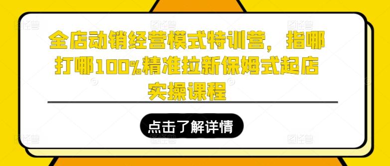 全店动销经营模式特训营，指哪打哪100%精准拉新保姆式起店实操课程-天韵资源网