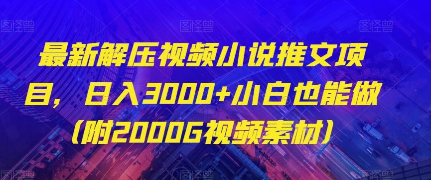 最新解压视频小说推文项目，日入3000+小白也能做（附2000G视频素材）【揭秘】-天韵资源网